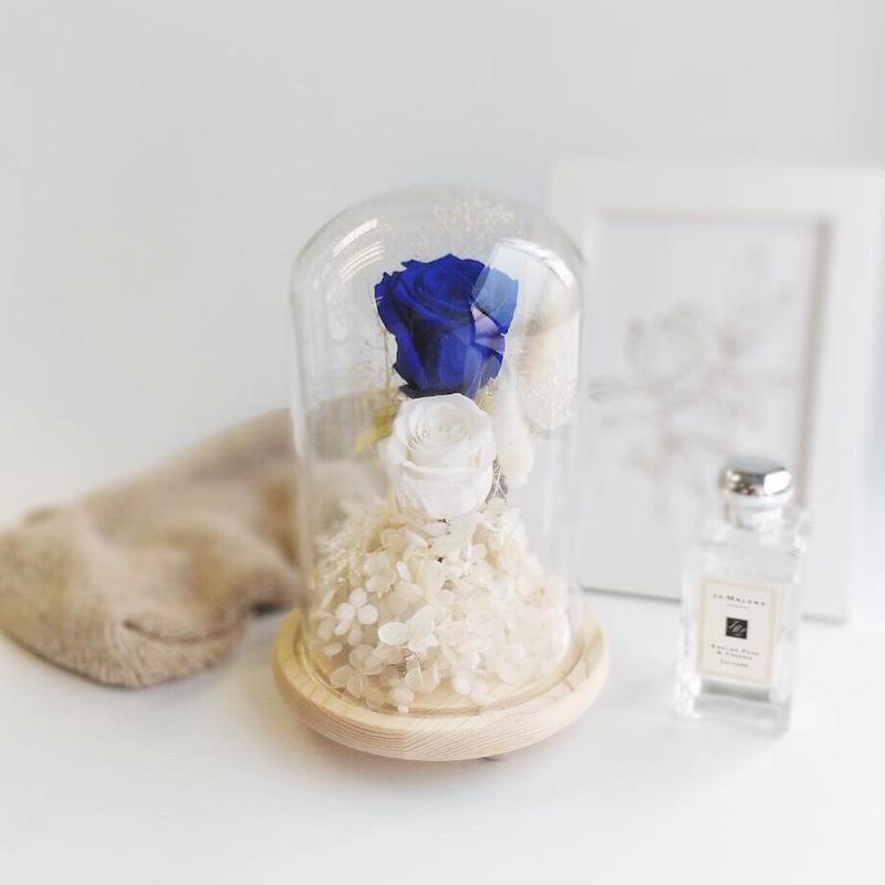 Blue and white preserved rose encased in glass dome. In the background is brown scarf, picture frame and perfume. 