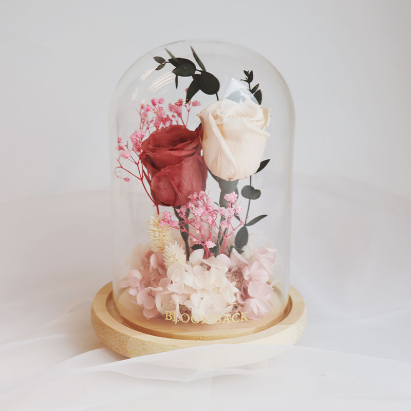 2 preserved roses and foliage encased in glass dome