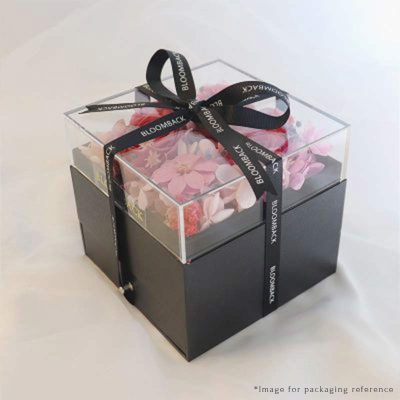 Jewelry Box Packaging Reference