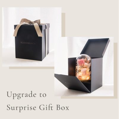 Upgrade to Surprise Gift Box