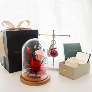 Final Boyl Premium Gift Set (opt)