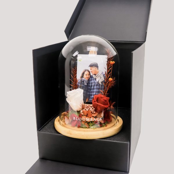 Photo Dome in Surprise Gift Box