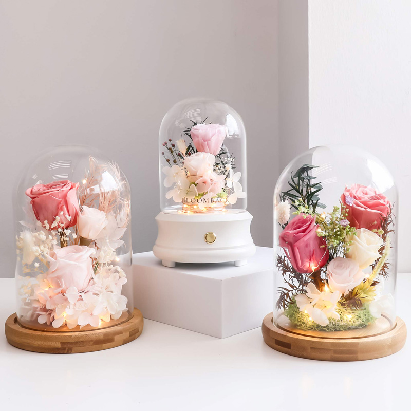 Group of Preserved Flowers Glass Domes