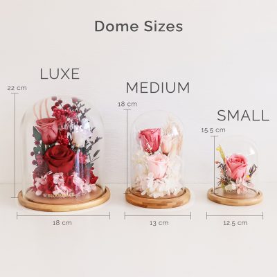 Domes Sizes