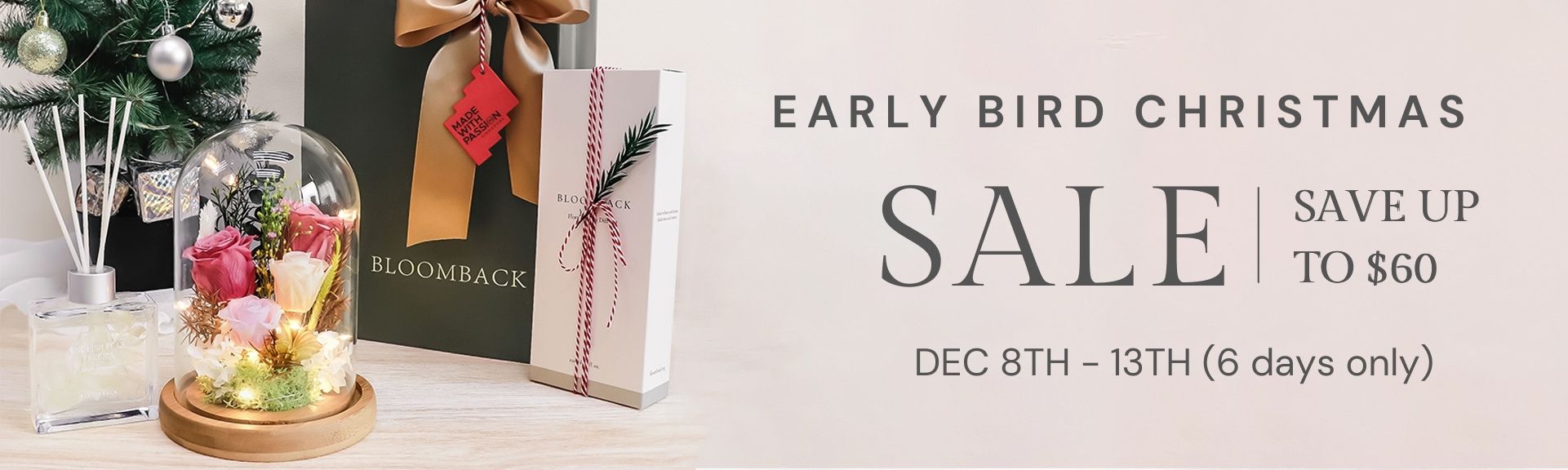 Earlybird Christmas Sale