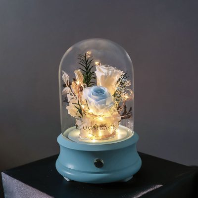You And I Bluetooth Speaker Glass Dome