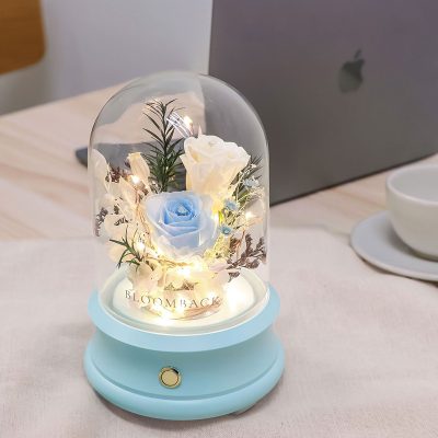 You And I Bluetooth Speaker Glass Dome Mood