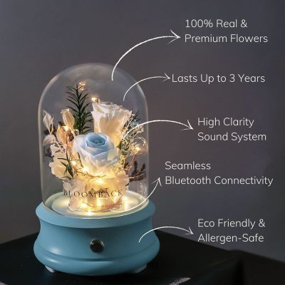 You And I Bluetooth Speaker Glass Dome Usp