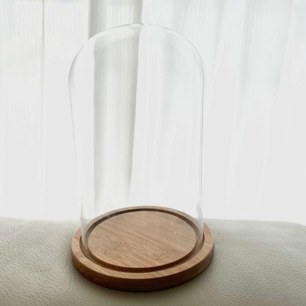 Medium Glass Dome With Wooden Base