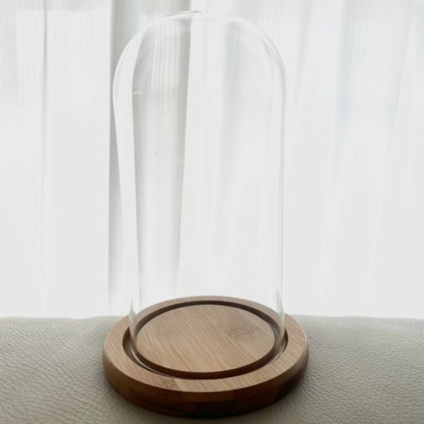 Skinny Glass Dome With Wooden Base