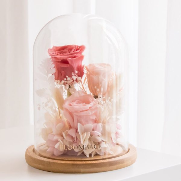 Heart To Heart Preserved Flowers Glass Dome 2024